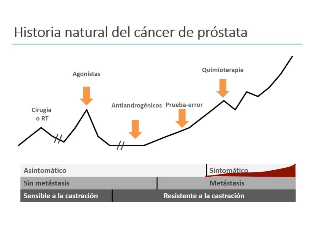 historia natural de la enfermedad cancer de prostata